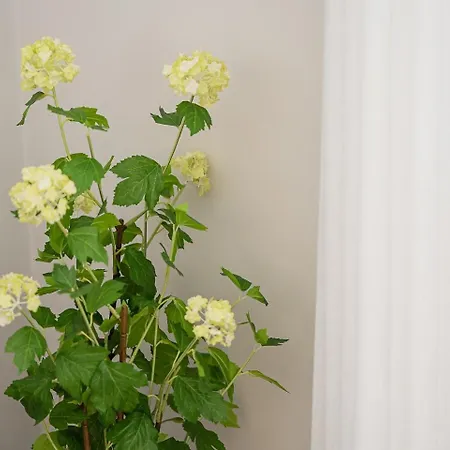 דירה Guestready - Modern Comfort In Historic אבאירו