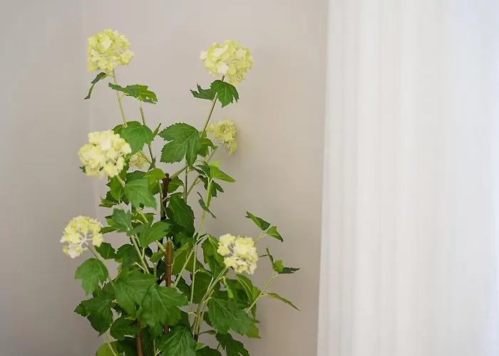 Appartement Guestready - Modern Comfort In Historic Aveiro